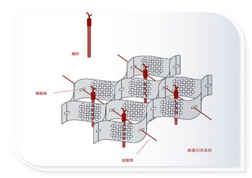 批发蜂巢格室_精选厂家