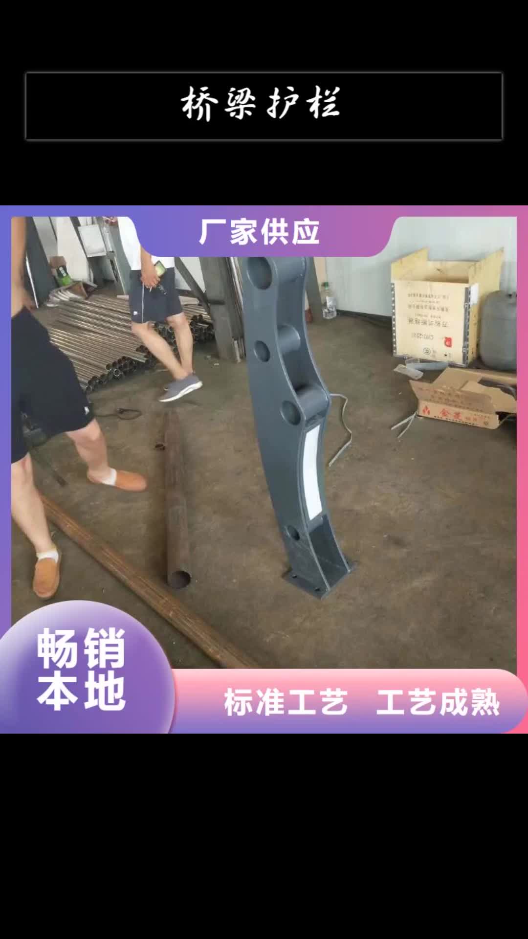 湘潭 桥梁护栏【立柱桥梁防撞护栏】推荐厂家