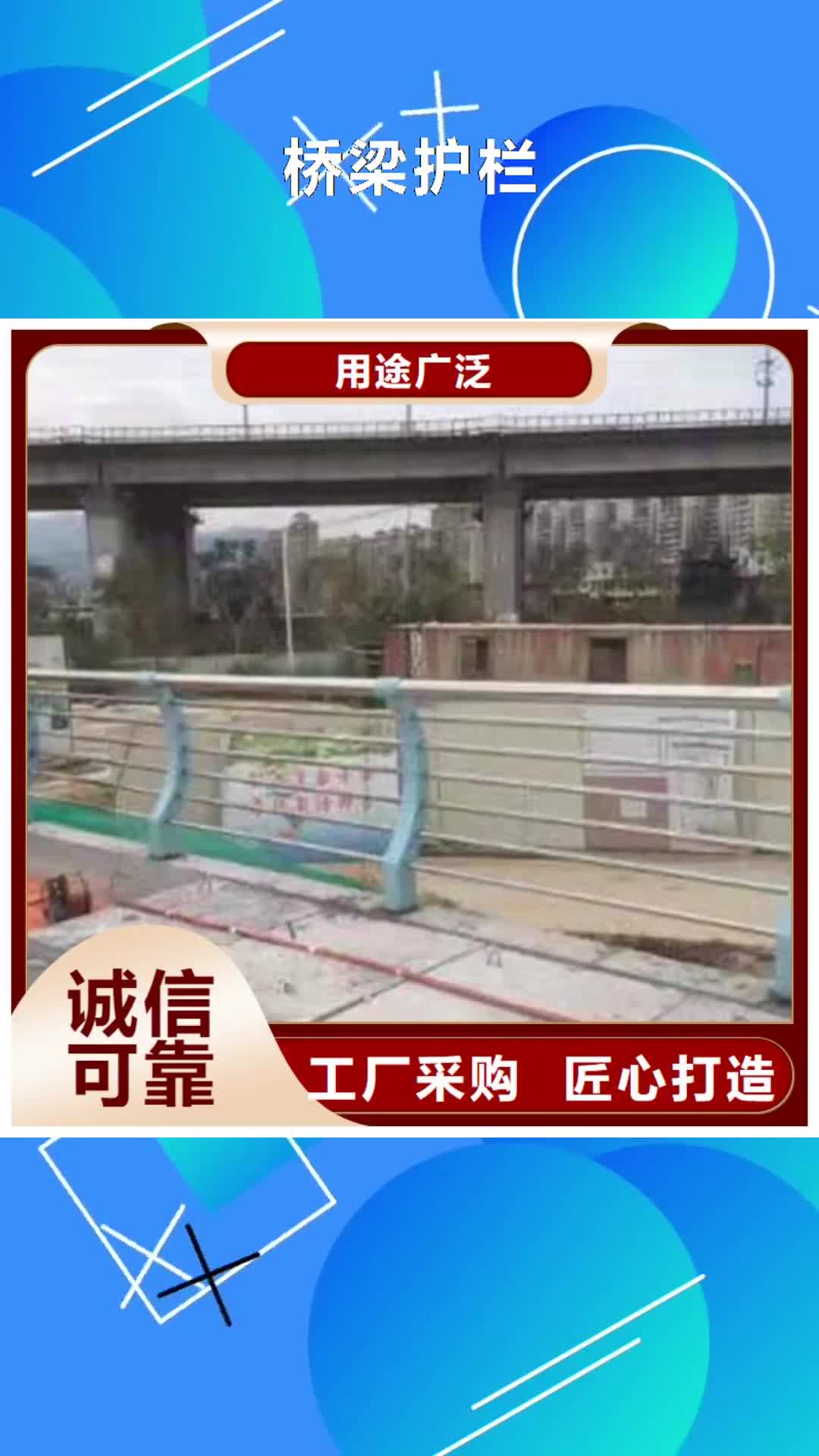 【大同 桥梁护栏-市政道路防护栏专注细节更放心】