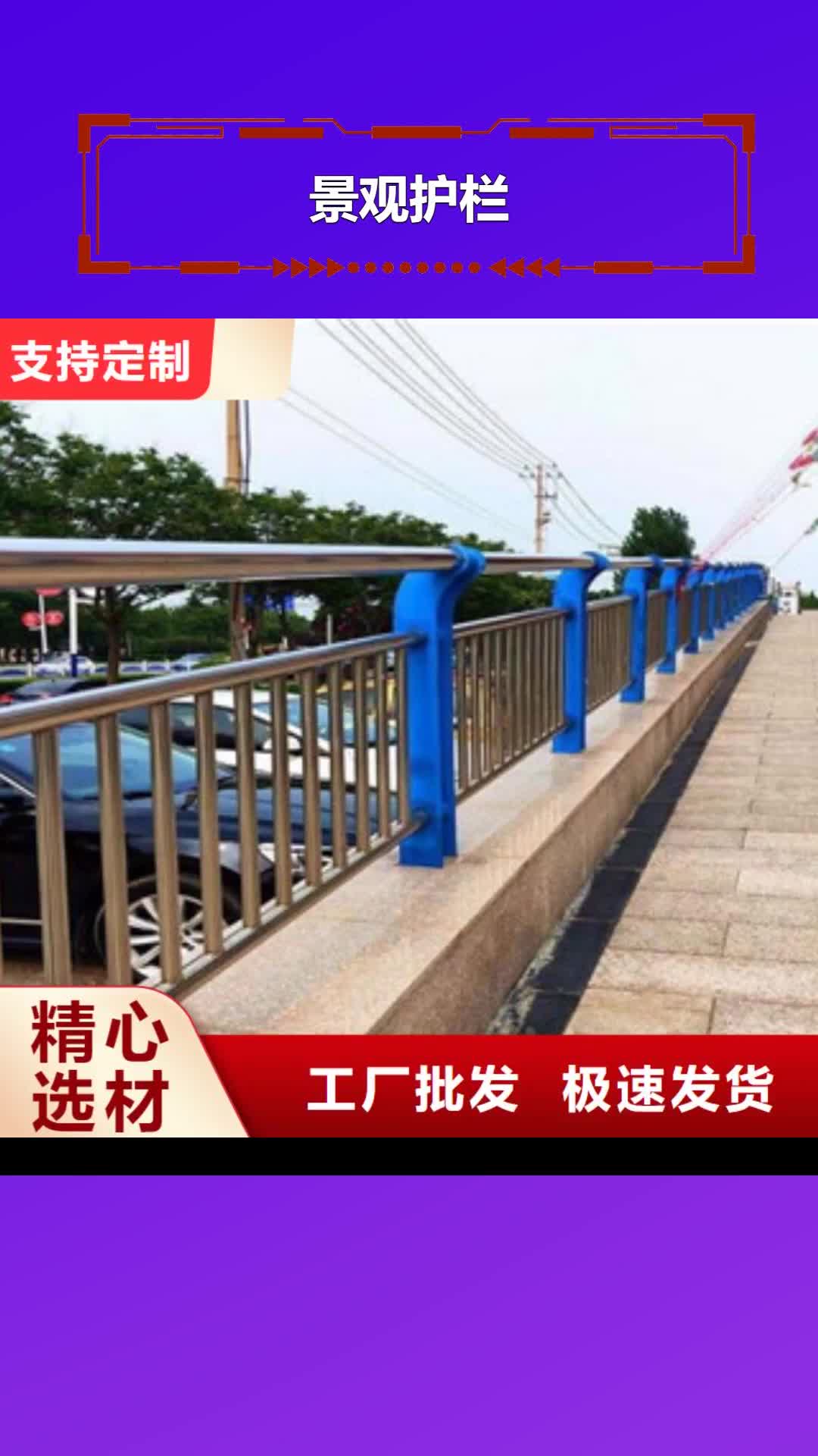 【茂名 景观护栏,桥梁人行道护栏真材实料加工定制】