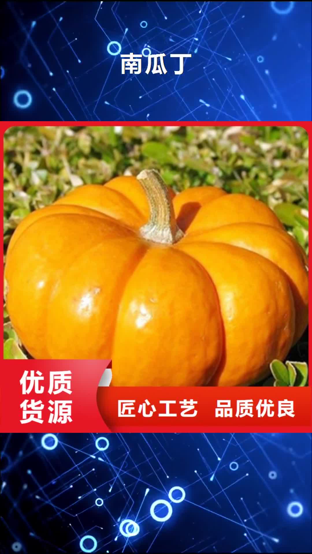 【黄山 南瓜丁 南瓜粉性能稳定】