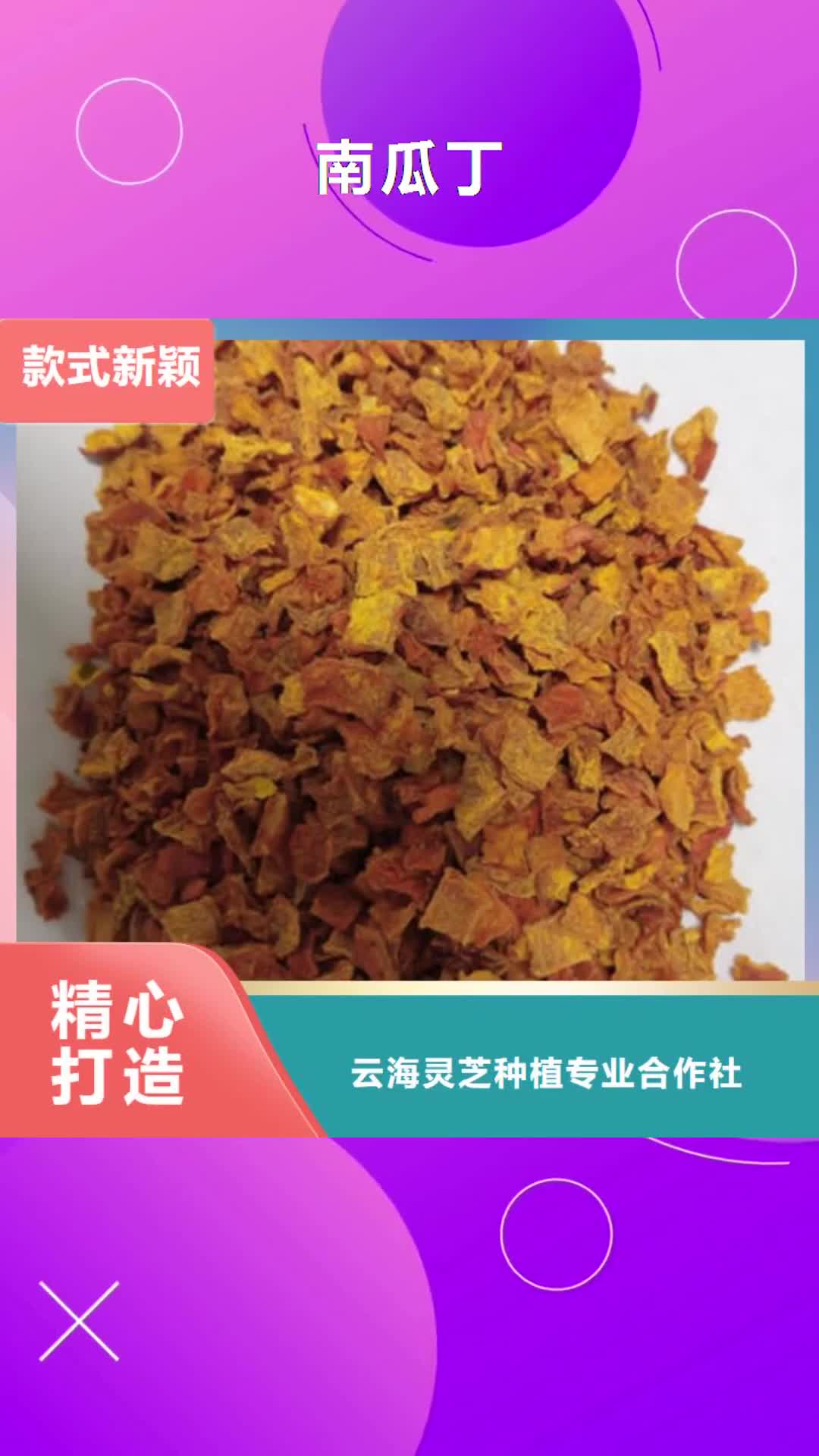 【巢湖 南瓜丁,灵芝粉优质材料厂家直销】