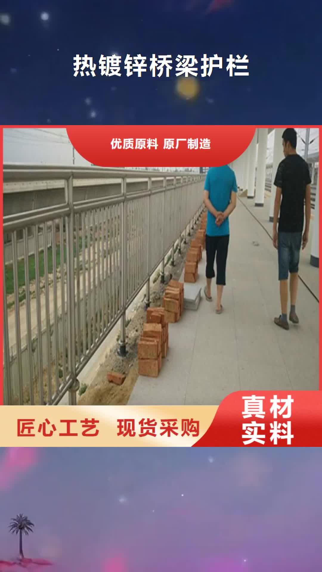 【潮州热镀锌桥梁护栏-道路隔离护栏厂家用心经营】