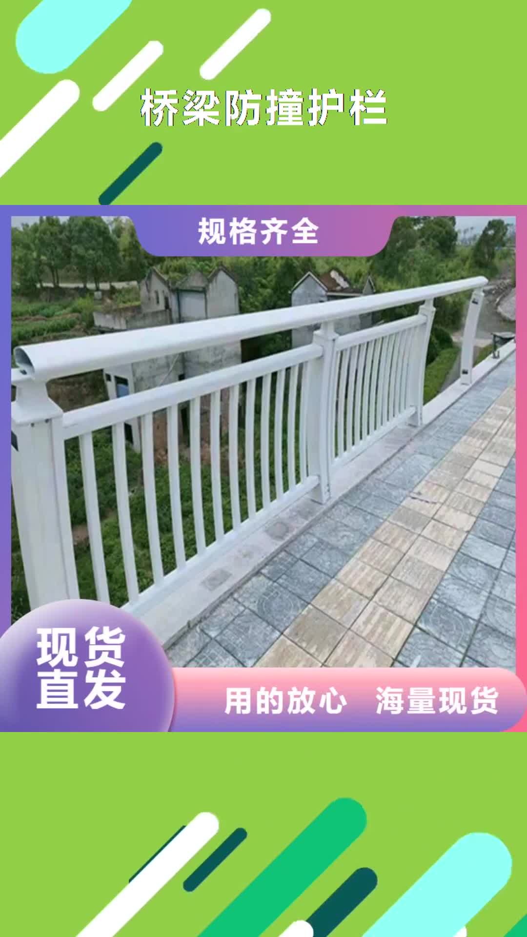 文山【桥梁防撞护栏】-金属梁柱式防撞栏杆厂家规格型号全