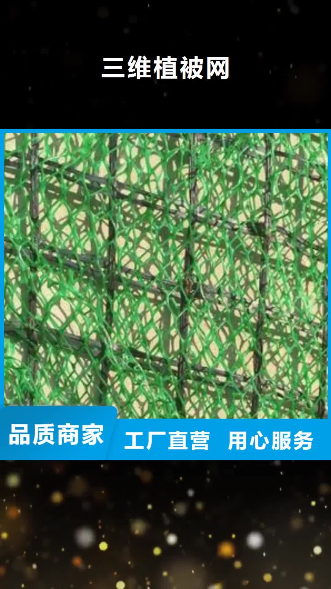 衢州【三维植被网】_三维复合排水网正品保障