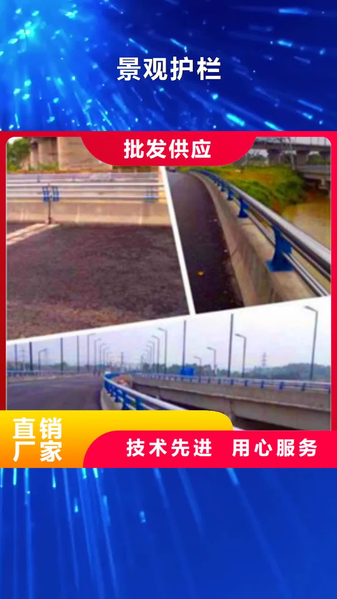 【玉树 景观护栏_河道护栏买的放心安兴用的舒心】