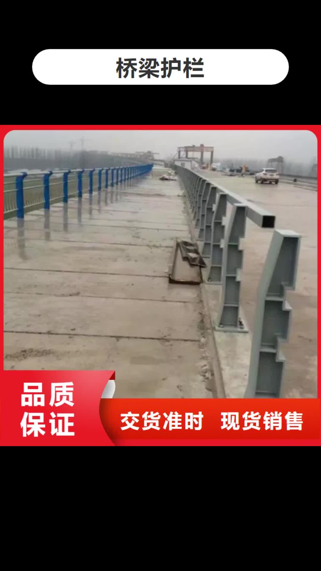 南阳 桥梁护栏【道路护栏】厂家精选