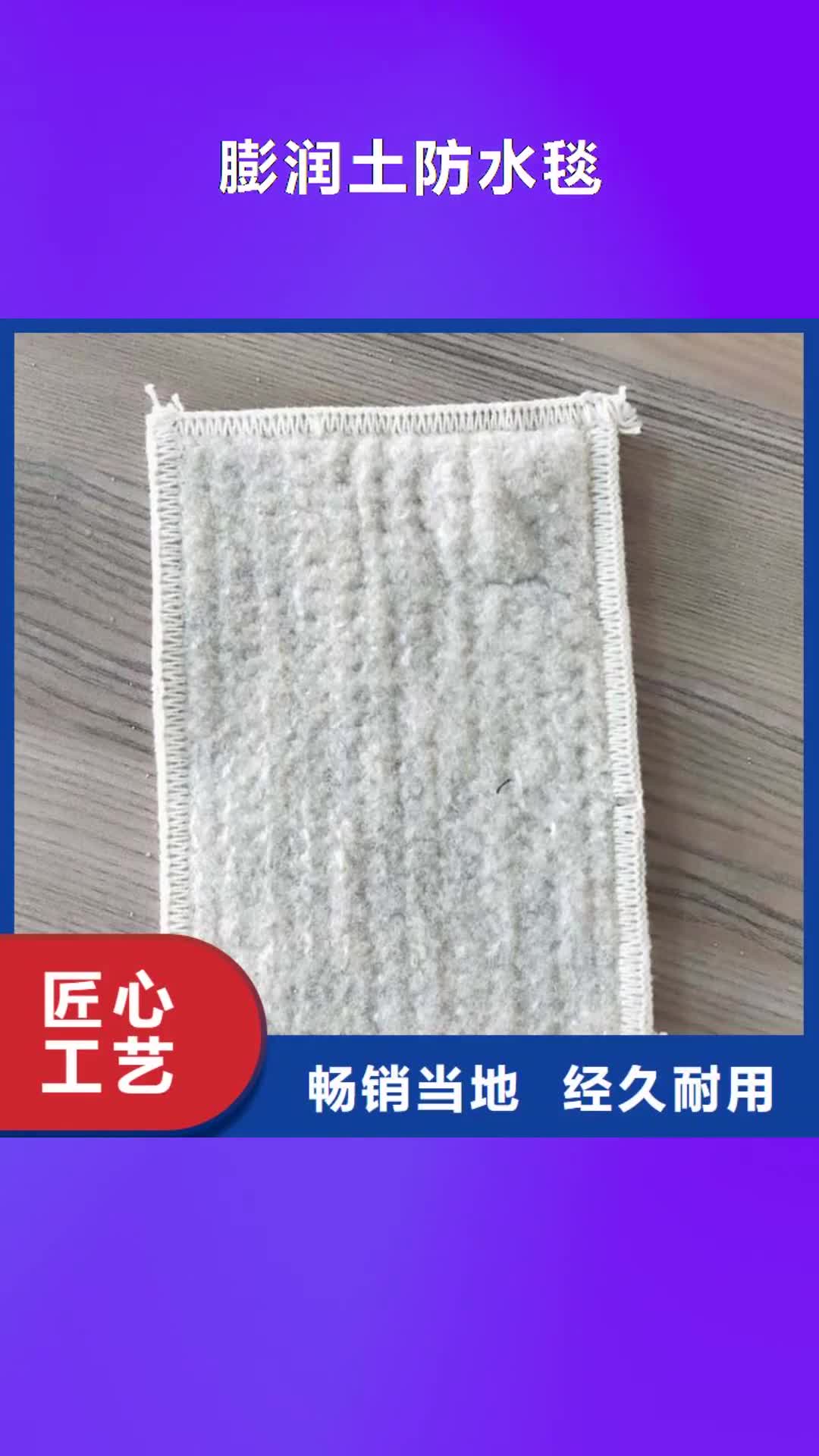 本溪 膨润土防水毯-【防渗膜】供应商