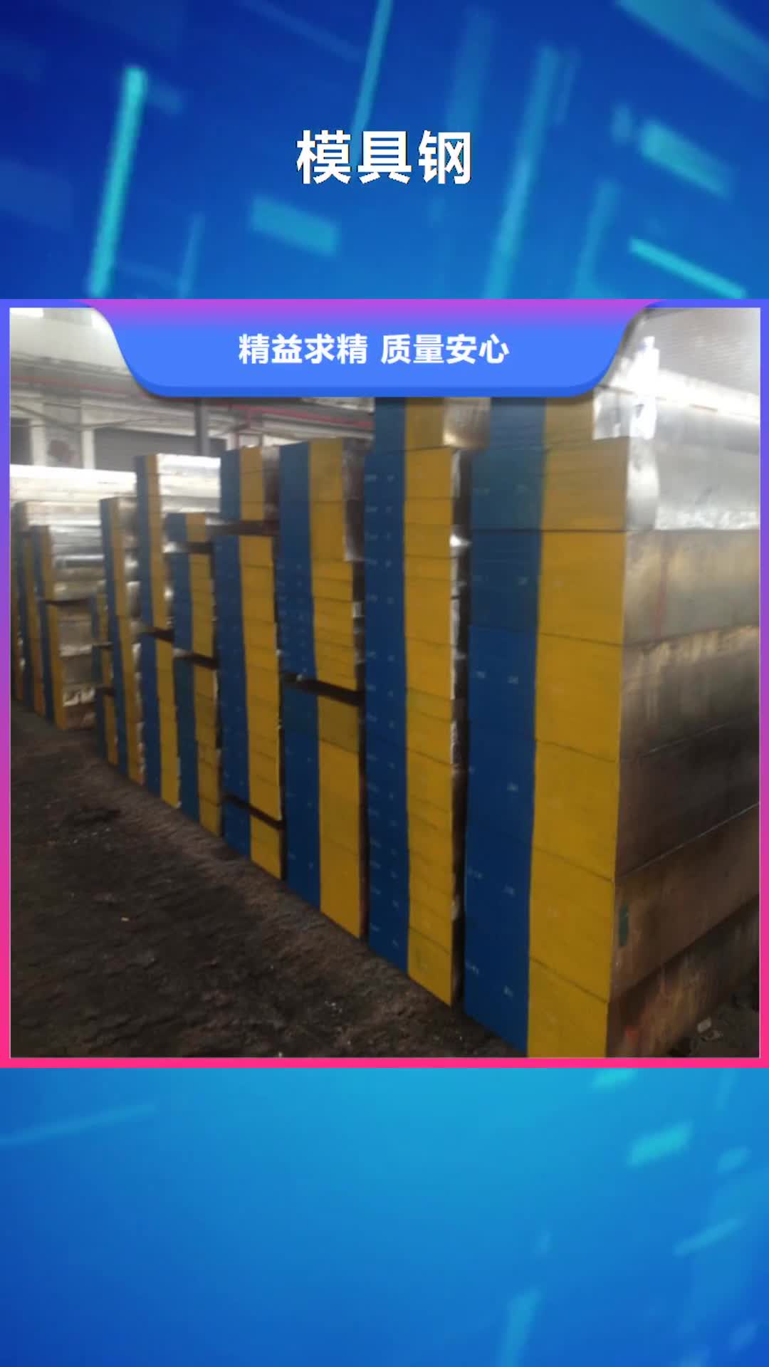 【衡阳 模具钢_模具钢生产厂家优选厂家】