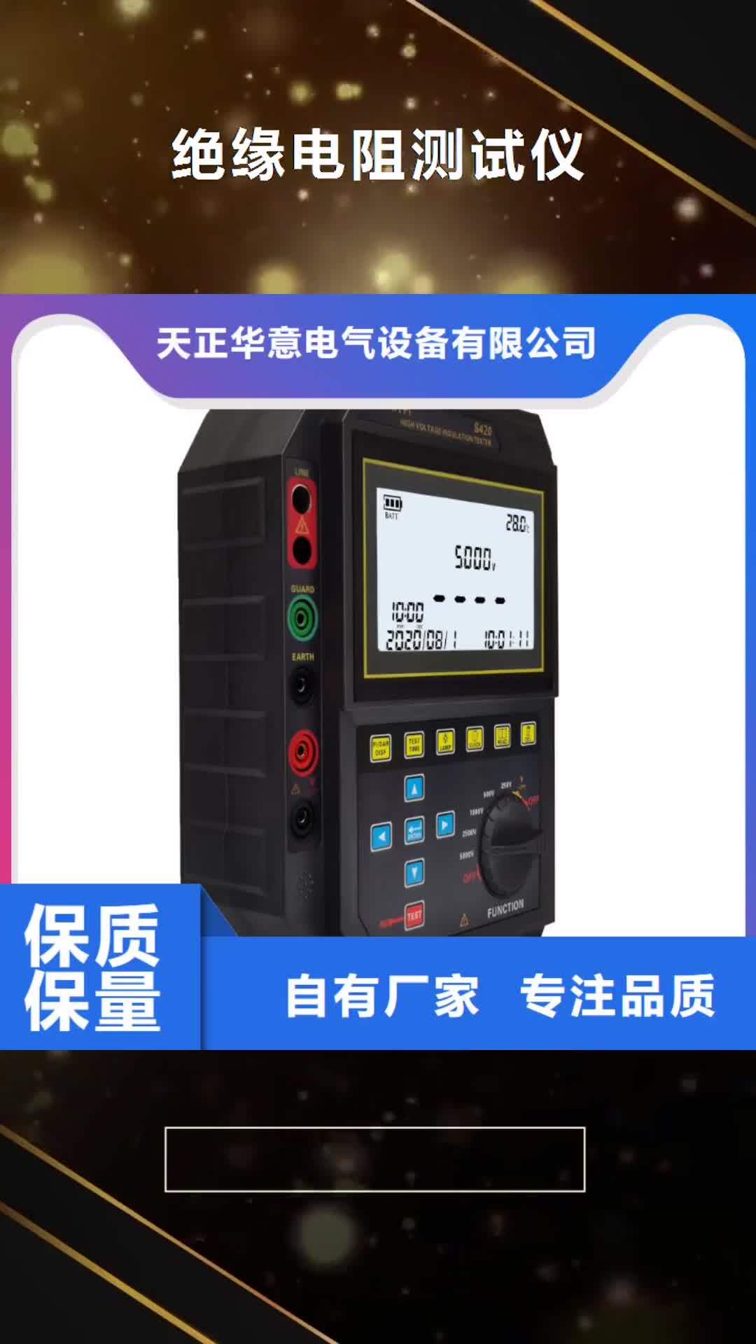 上海 绝缘电阻测试仪【蓄电池测试仪】实力工厂