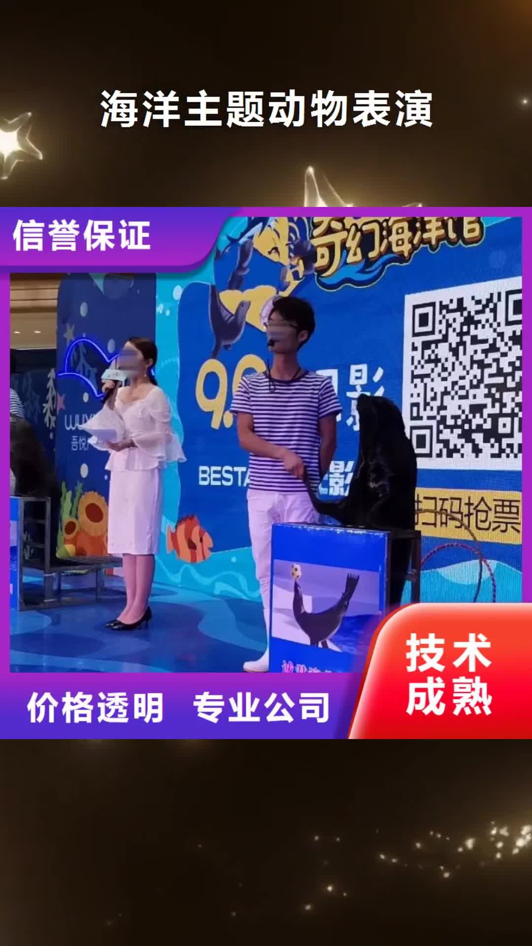 天水【海洋主题动物表演】马戏团表演行业口碑好