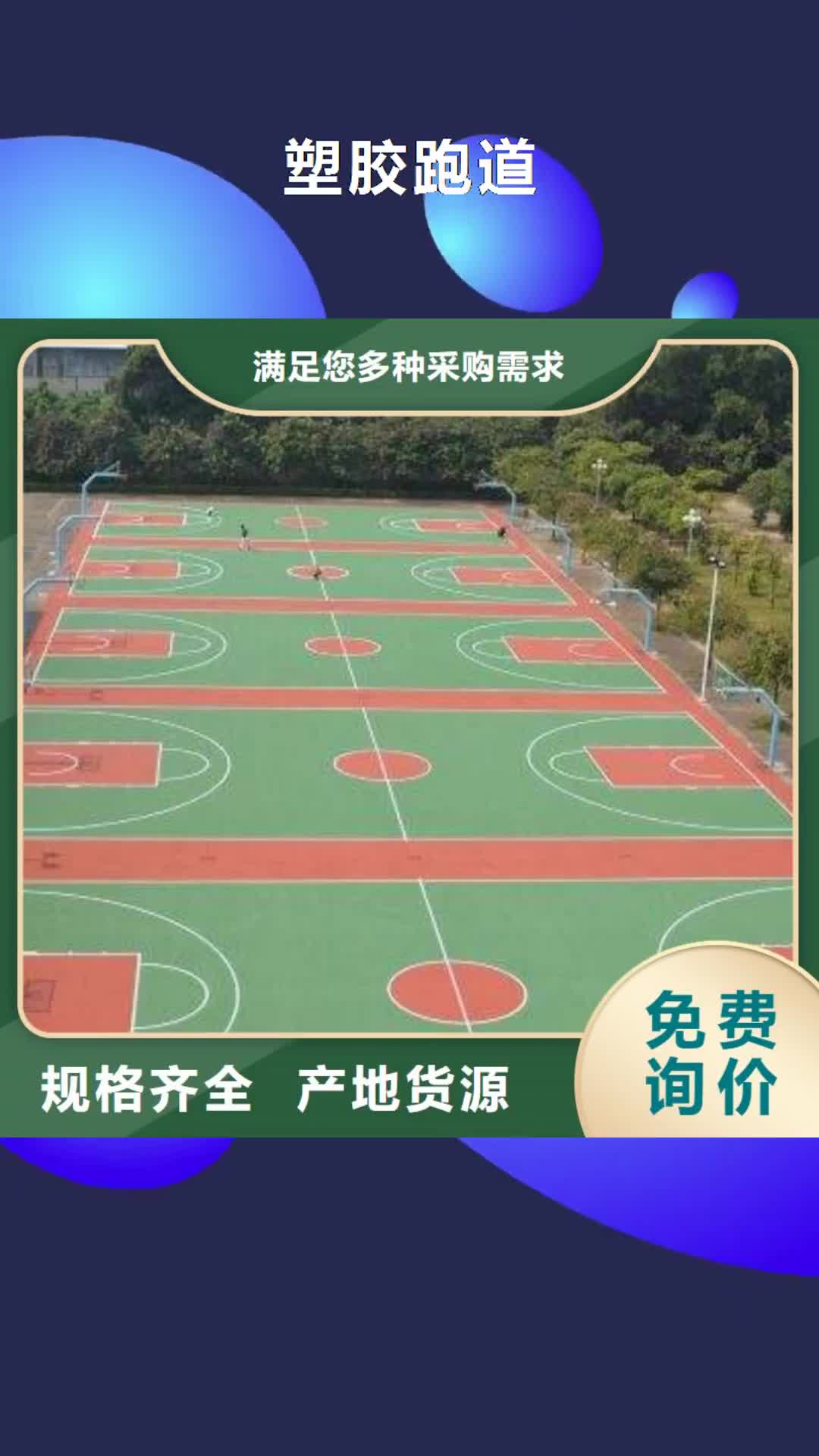 连云港【塑胶跑道】_公路围网实地大厂