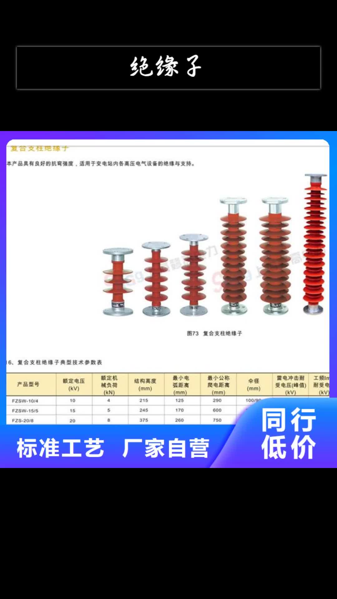 镇江绝缘子高低压电器源头厂家经验丰富