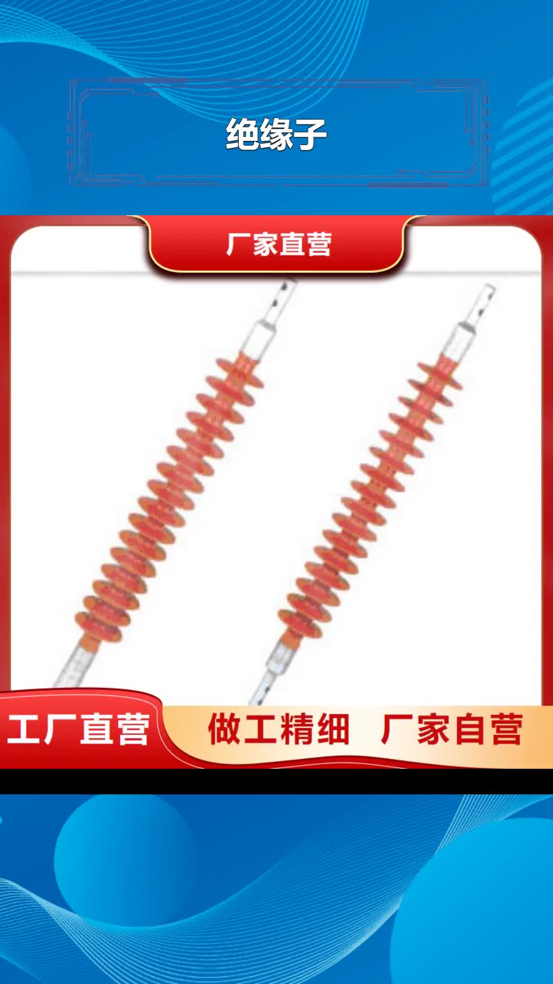 阳泉【绝缘子】-高低压电器源头采购