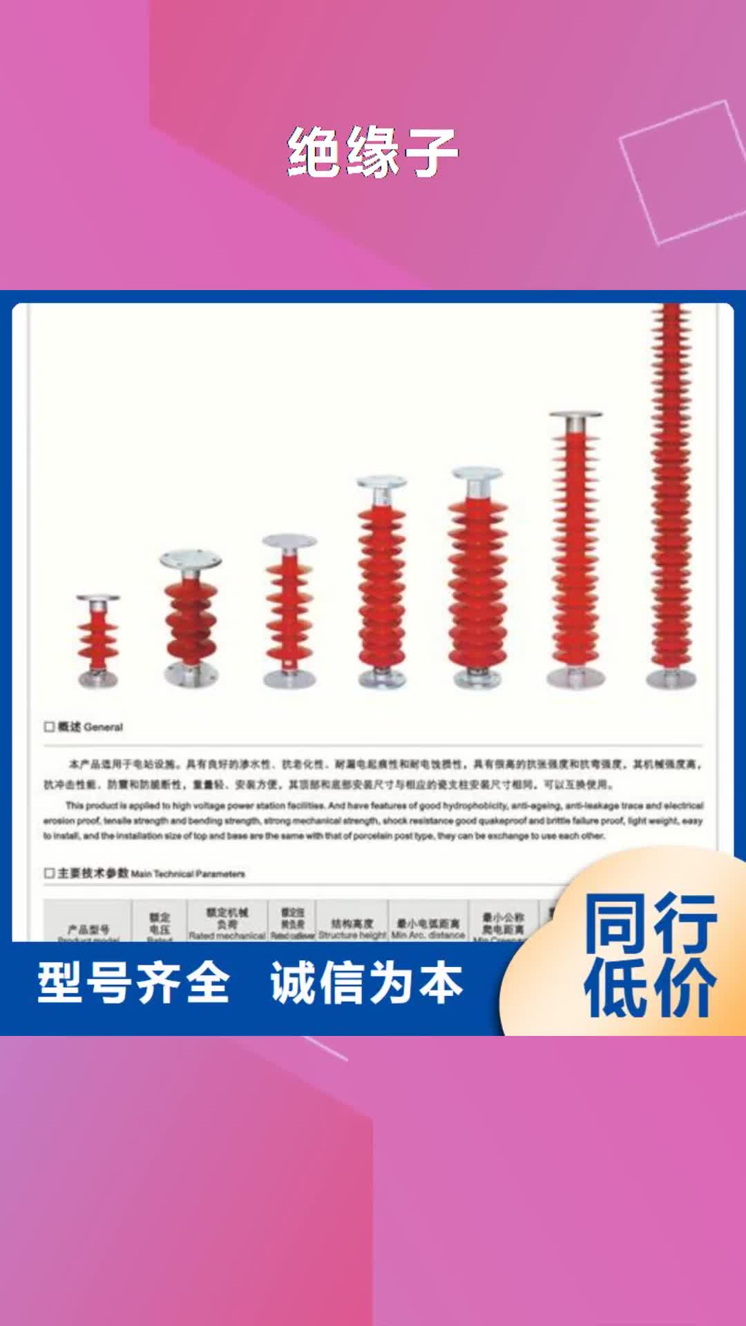 【德州绝缘子 跌落式熔断器匠心打造】