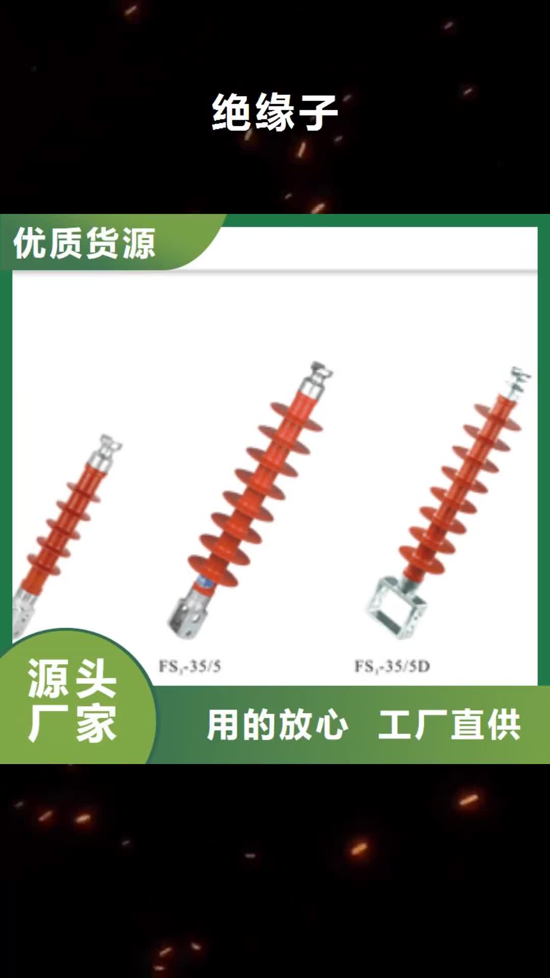 广州【绝缘子】 固定金具全品类现货