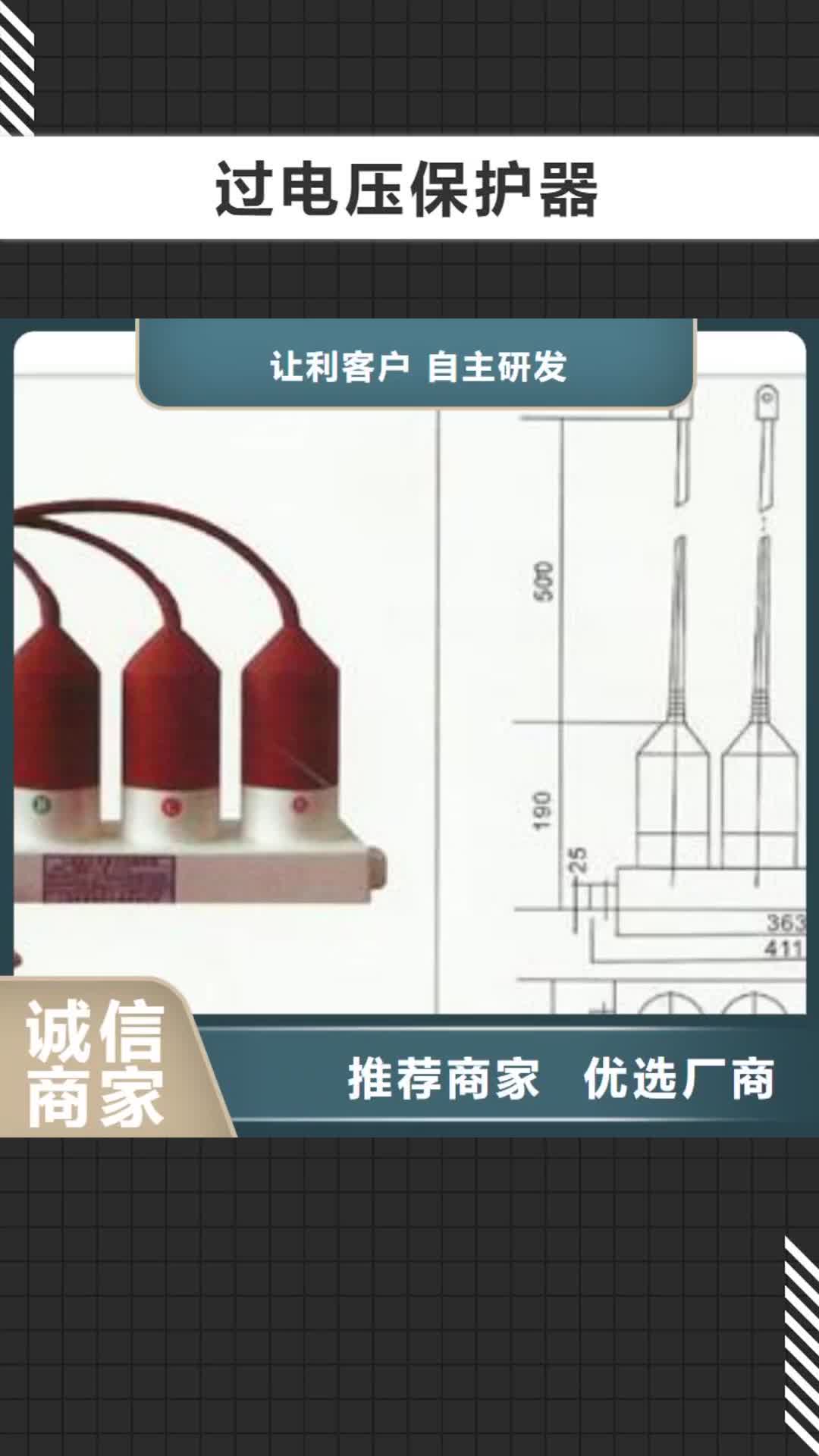 【佛山过电压保护器绝缘子出货快】