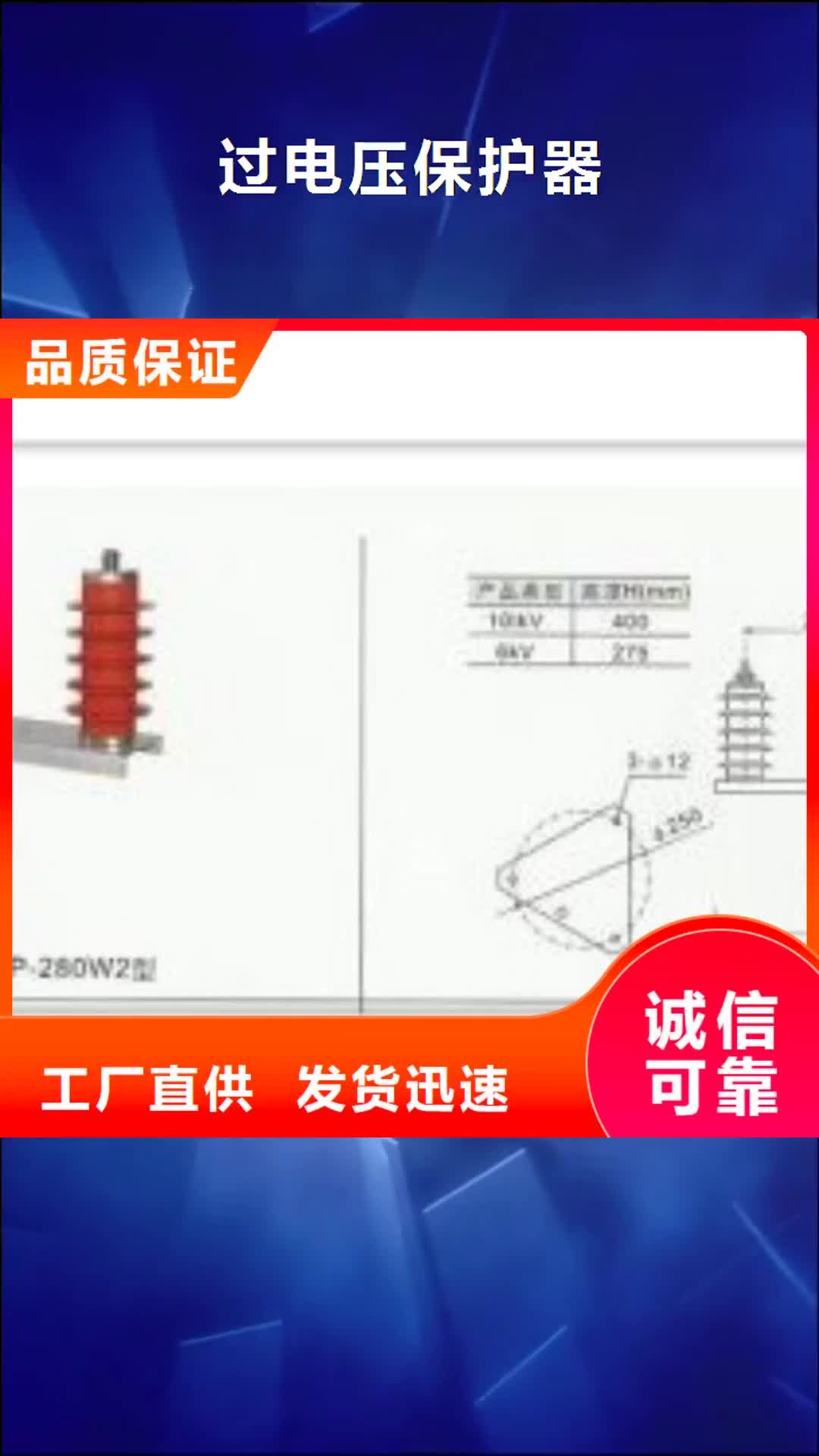 衢州过电压保护器-【真空断路器】价格实惠工厂直供