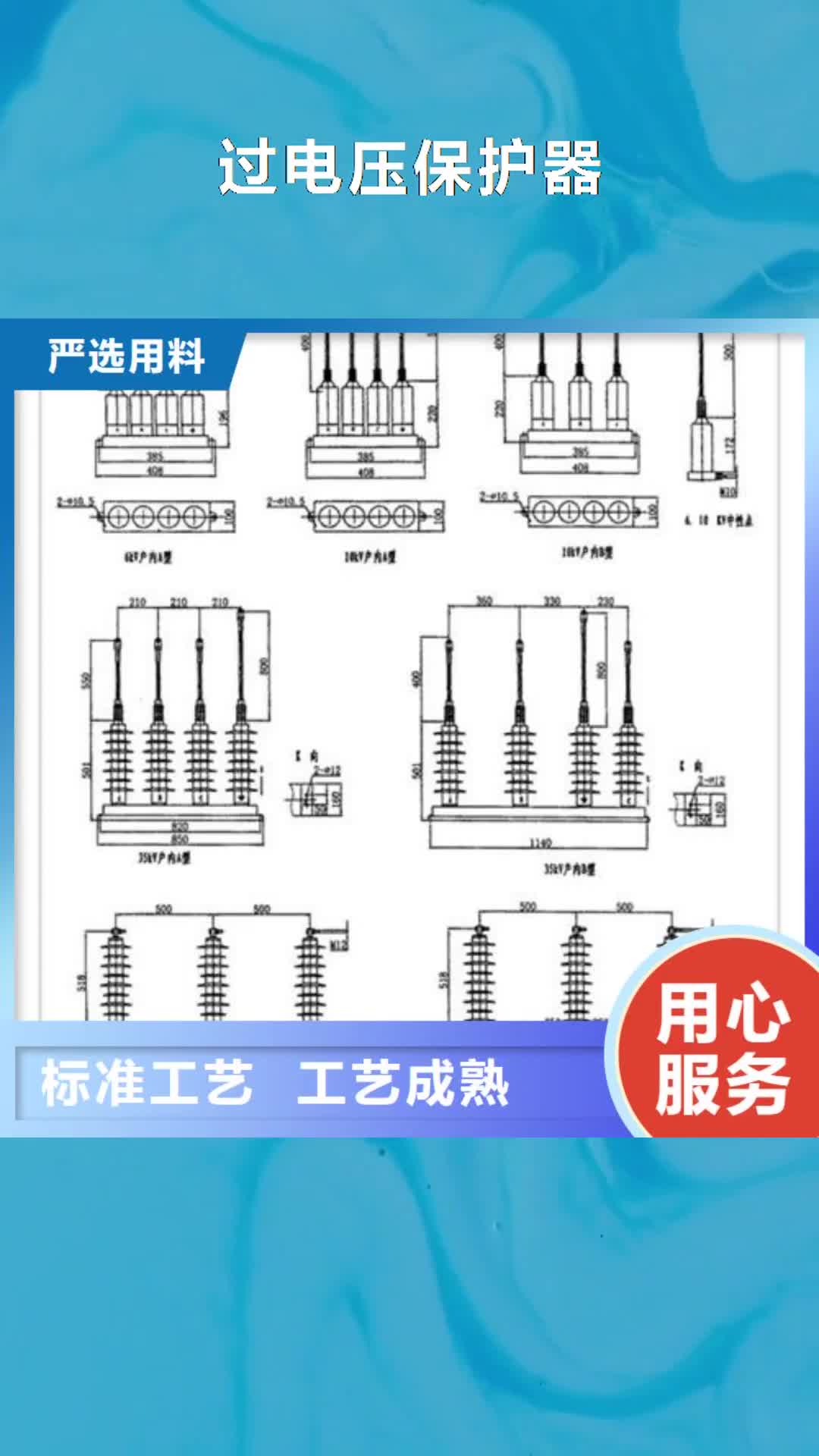 【台州 过电压保护器_限流熔断器推荐商家】