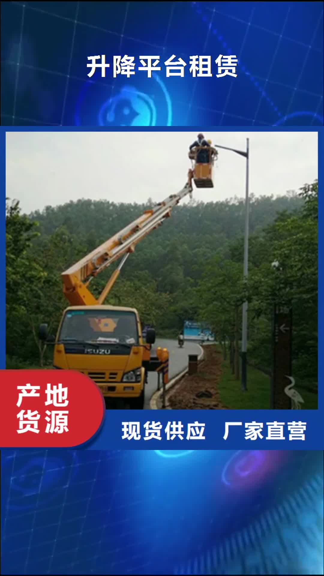 亳州 升降平台租赁价格地道