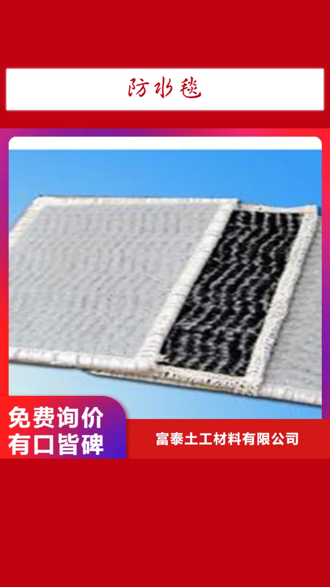 衡水【防水毯】膨润土防水毯厂家专业生产品质保证